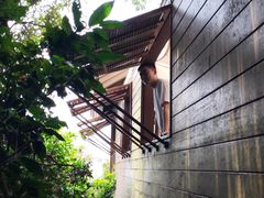 -三亚亚龙湾人间天堂鸟巢度假村