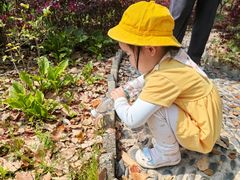 -豆初托育园 Baby Bean Day care Center