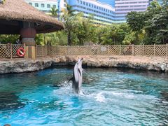 -珠海长隆海洋王国