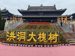 -大槐树寻根祭祖园