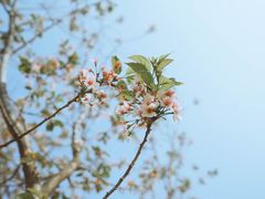 -西北湖绿化广场