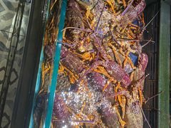 -歌山品悦大酒店-悦咖啡西餐厅(江虹路店)