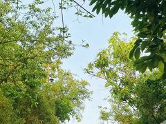 -杭州半山国家森林公园