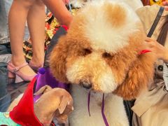 -华谊兄弟（长沙）电影小镇