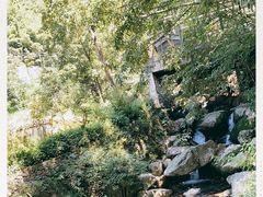 -藏龙百瀑风景区