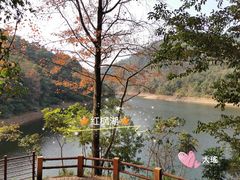 -广州市石门国家森林公园