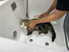 -FAELING PETS美天灵宠物(富力广场店)