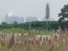 -汉长安城未央宫国家考古遗址公园