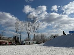 -宠乐会宠物乐园