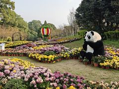 -南山植物园