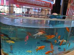 -辣得叫湘菜(四明店)