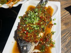 -老号尤兔头(幸福店)