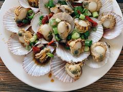 油泼扇贝-1910老鲁味海鲜·戳子肉·青岛菜(金沙滩店)
