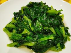 清炒豆苗-金玉满堂潮州酒楼(无限极荟购物广场店)