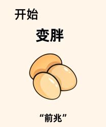 -Fundi张玉珊修身堂·indiba·BTL科技瘦身
