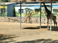 -北京野生动物园