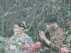 -人民公园(罗湖区)