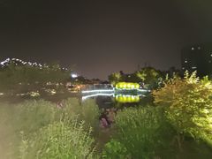 -嘉定紫藤园