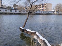-勺湖公园