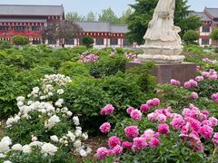 -曹州百花园
