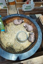 -酷嗒动物文化乐园(cutezoo西溪乐天城店)