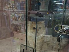 -FAELING PETS美天灵宠物(富力广场店)