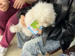 -宠福鑫动物医院(城北分院)