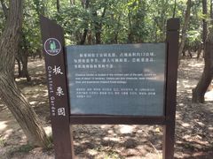 -日照海滨国家森林公园