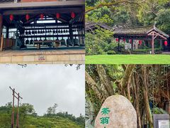 -东部华侨城