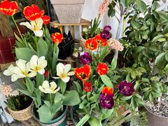 -艾蜜西餐厅(梅园店)