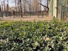 景点-北京动物园