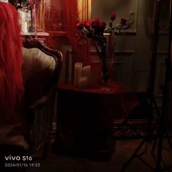 -WAVE SODA摄影工作室