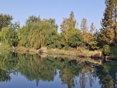 -济南大明湖景区