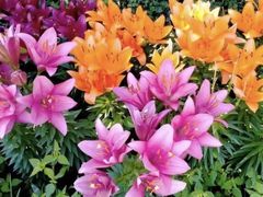 -长春公园(普阳街道)