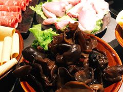 黑木耳-老酉火锅(阳明古镇店)