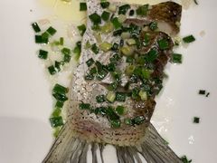 -沪碟·精菜坊(闵行店)