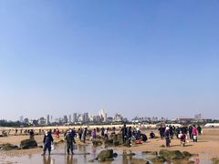 -巧克力渔家.小船海鲜胶东菜(万平口店)