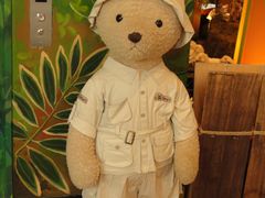 -济州岛泰迪熊博物馆