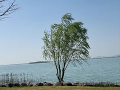 -苏州东太湖生态园