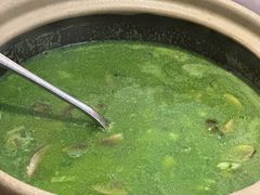 -十二舍·湯物素煮(江泰潤政店)