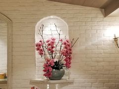 -鹿园 MOOSE(长宁店)