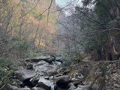 -浙西天池景区