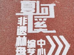 -夏河溪乡野公园