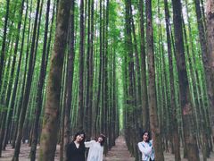 -山王坪喀斯特国家生态公园