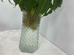 -双季花艺园艺市场(浦东店)