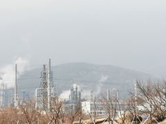 -白水寺森林公园