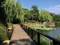 景点-前关湿地公园