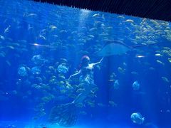 -华夏文旅海洋公园