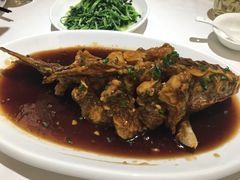 -金春禧(世茂国际广场店)