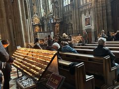 -斯蒂芬主教座堂(Stephansdom)